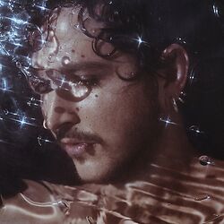 Oscar And The Wolf