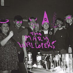 Lovende recensies voor de debuutplaat van The Mary Wallopers