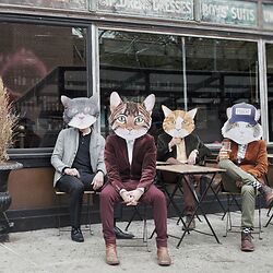 Rolling Stone Magazine looft Fantastic Cat