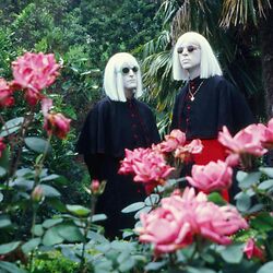 Drab Majesty